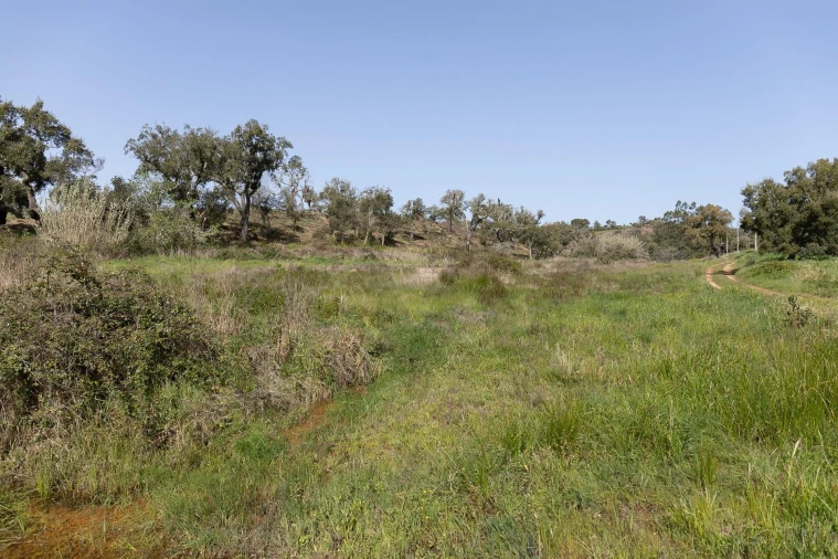 Quinta T5 para Venda em Cercal Foto 47