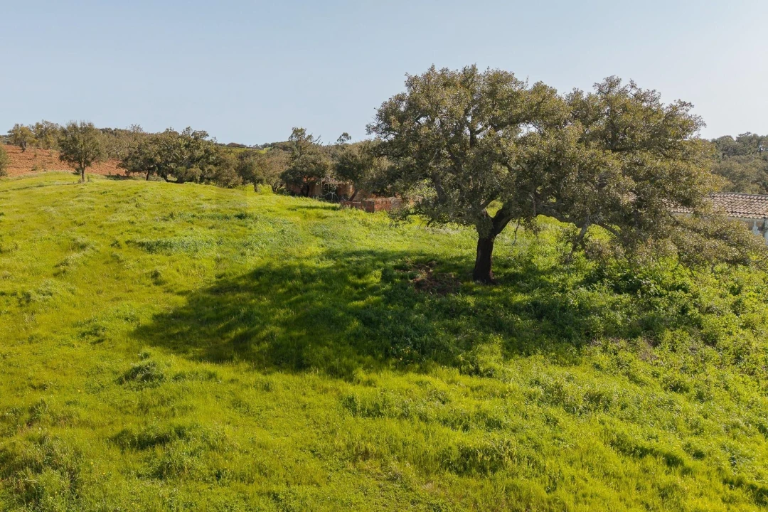 Quinta T5 para Venda em Cercal Foto 25