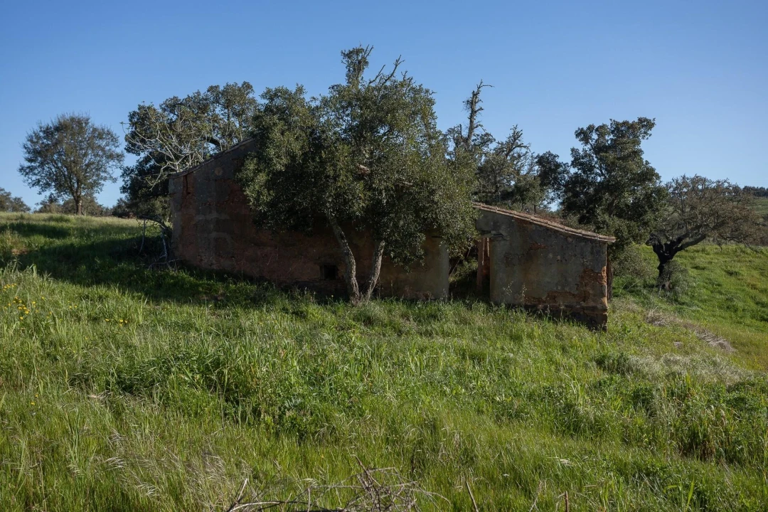 Quinta T5 para Venda em Cercal Foto 30