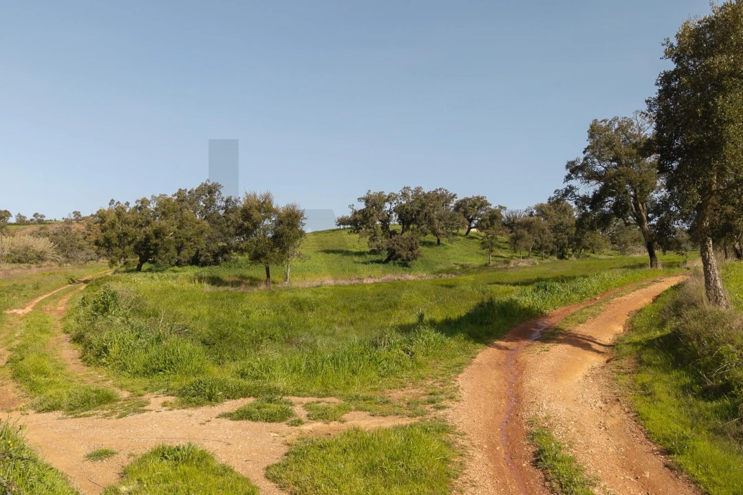 Quinta T5 para Venda em Cercal Foto 20