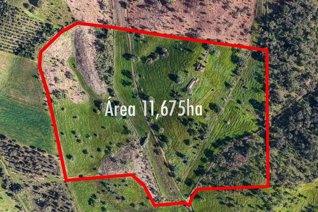 Quinta T5 para Venda em Cercal Foto 3