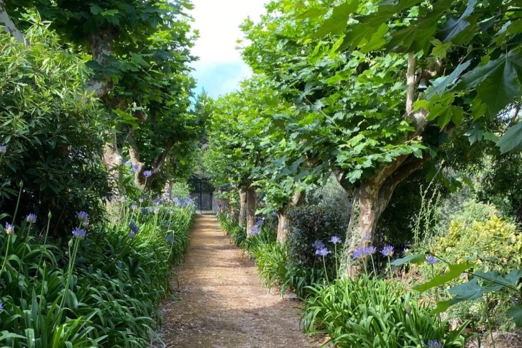 Moradia T2 para Arrendamento em São João das Lampas e Terrugem Foto 2