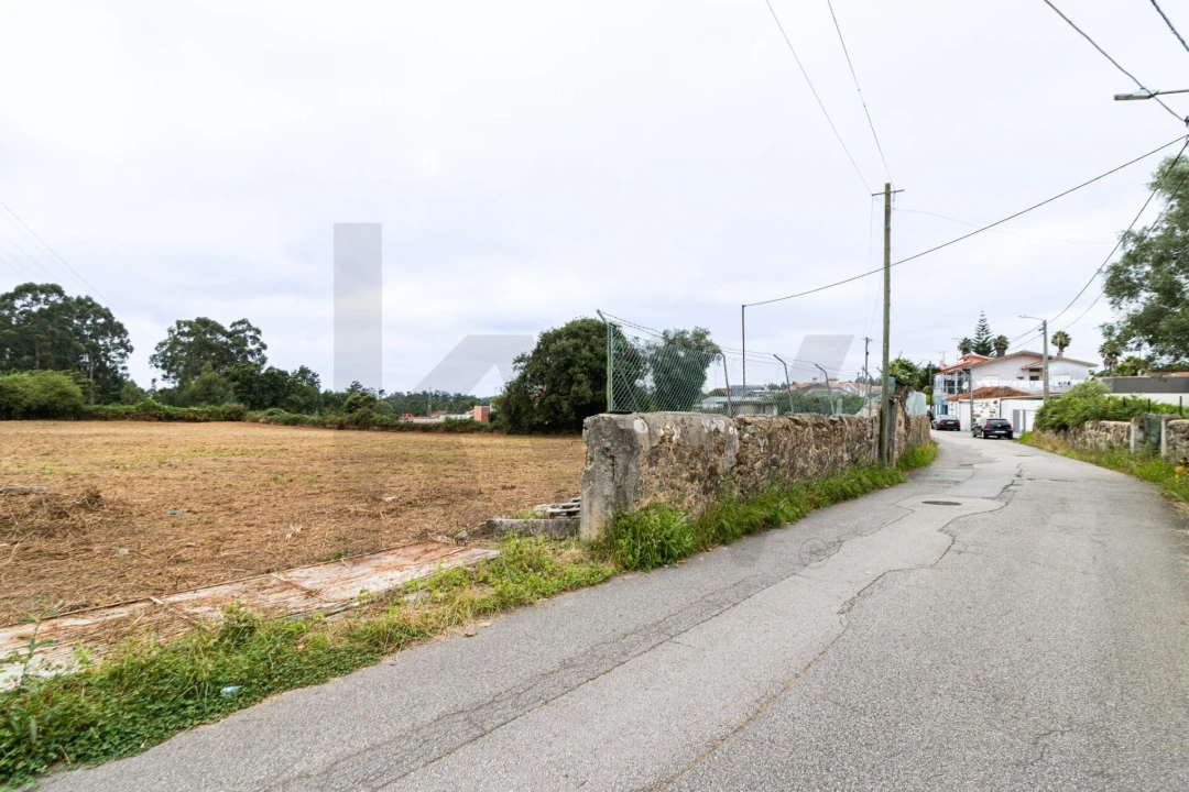 Terreno para Venda em Nogueira da Regedoura Foto 5