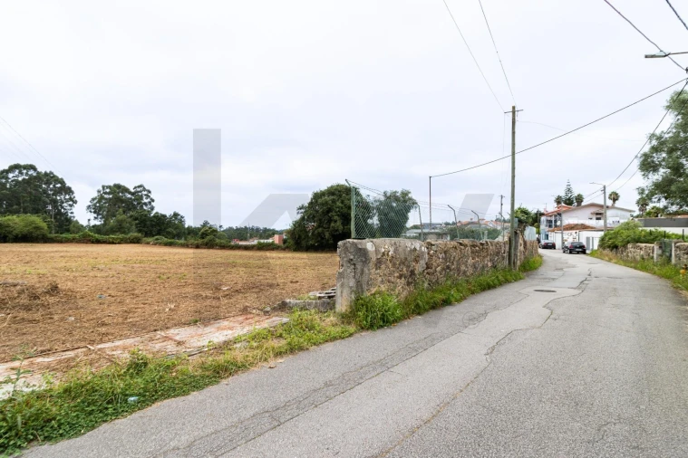 Terreno para Venda em Nogueira da Regedoura Foto 5