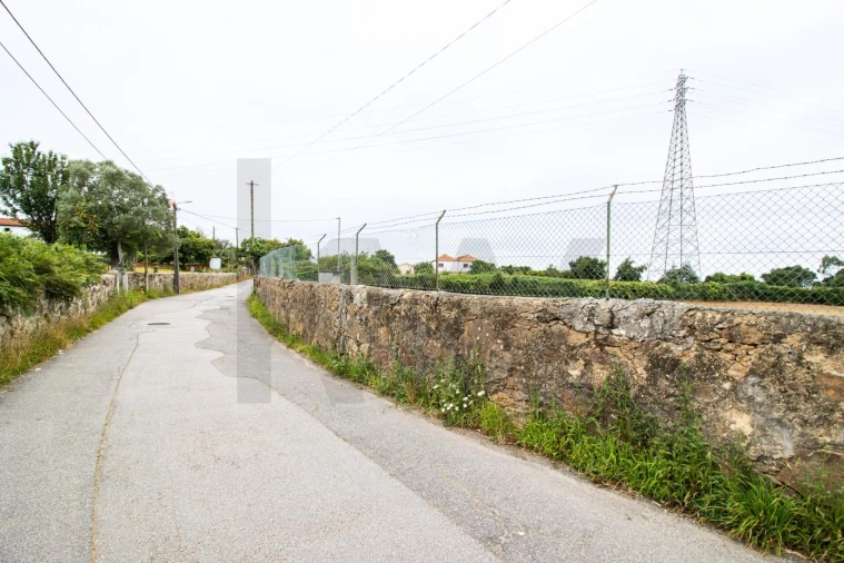 Terreno para Venda em Nogueira da Regedoura Foto 6