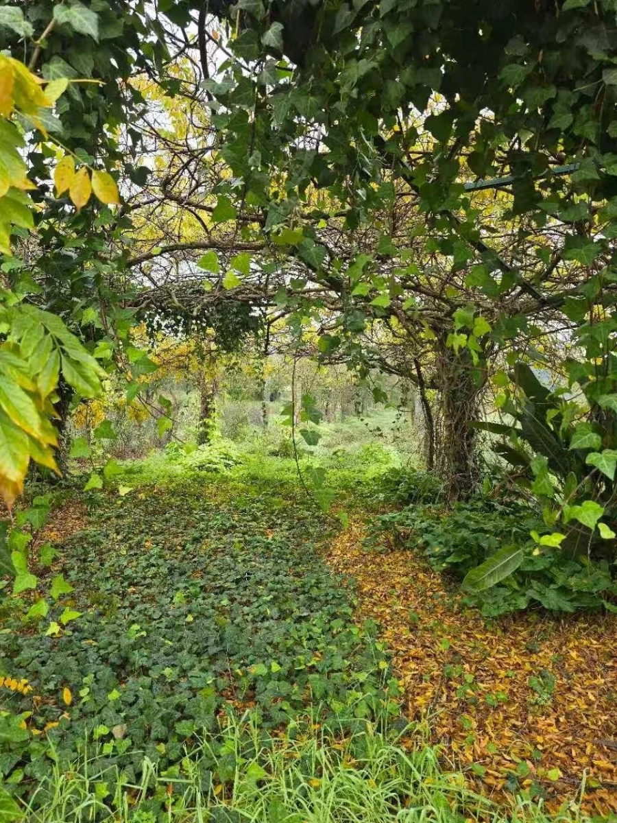 Quinta T5 para Venda em Rio Mau e Arcos Foto 12