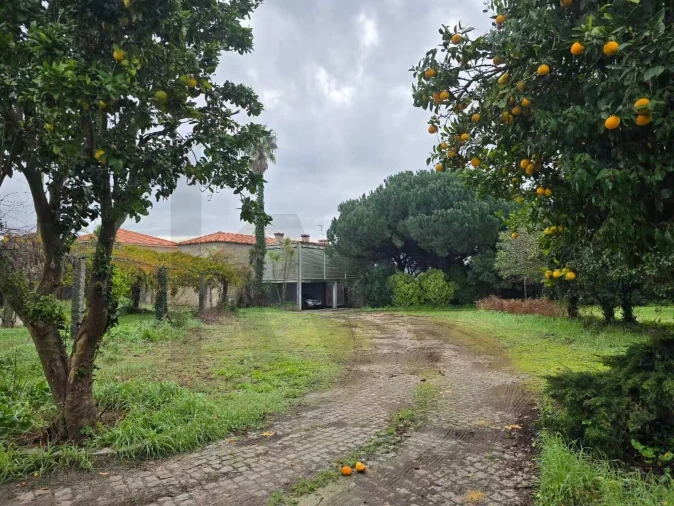 Quinta T5 para Venda em Rio Mau e Arcos Foto 13