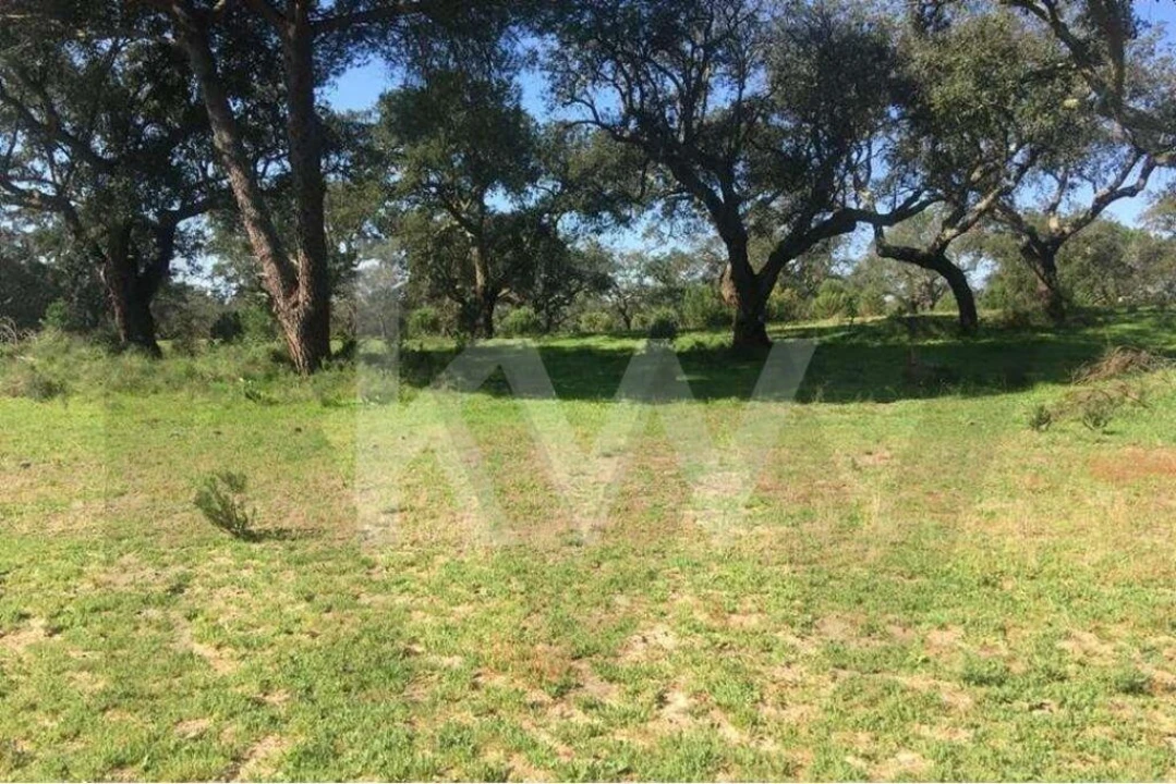 Terreno para Venda em Poceirão e Marateca Foto 6