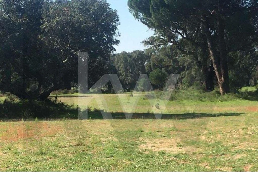 Terreno para Venda em Poceirão e Marateca Foto 3