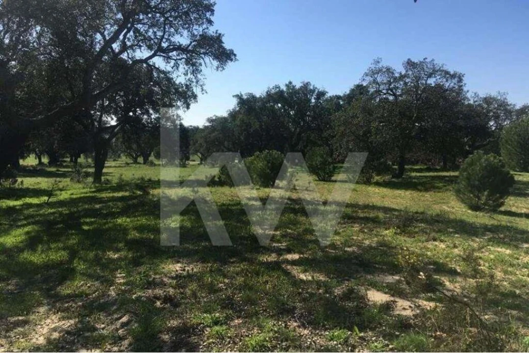 Terreno para Venda em Poceirão e Marateca Foto 5