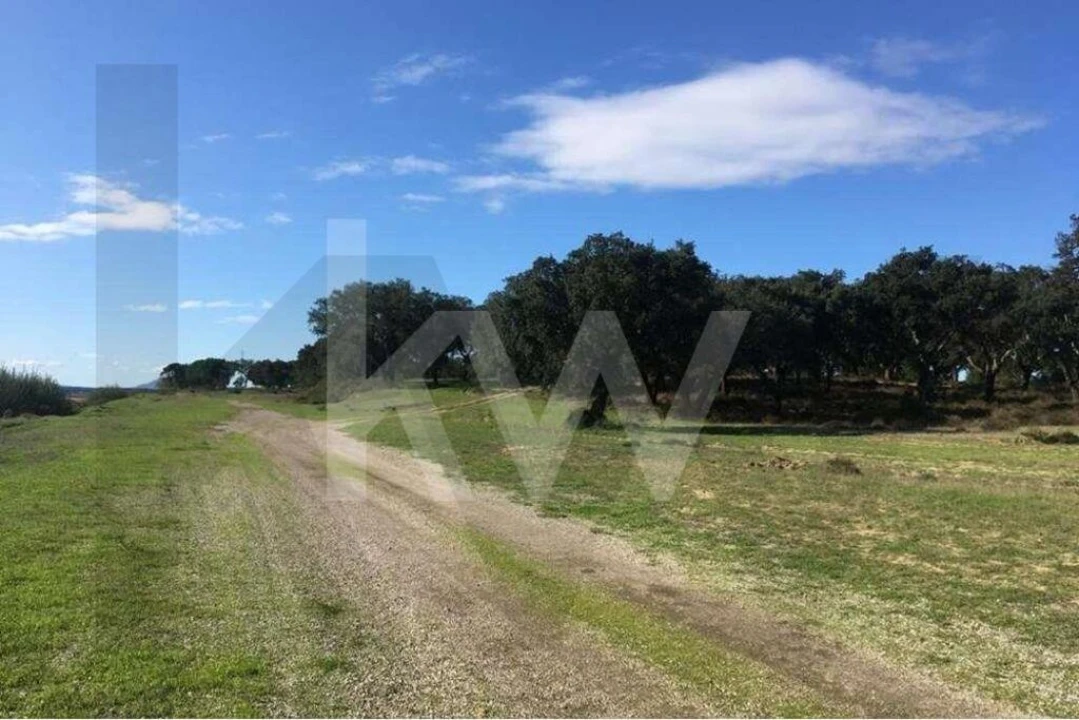 Terreno para Venda em Poceirão e Marateca Foto 10