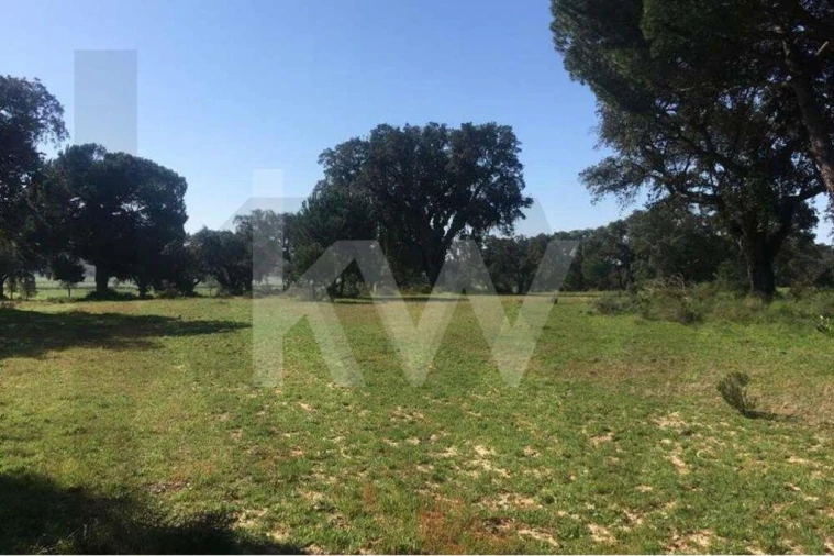 Terreno para Venda em Poceirão e Marateca Foto 9