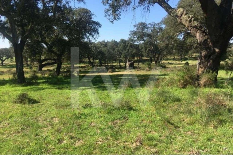 Terreno para Venda em Poceirão e Marateca Foto 14