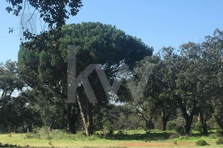 Terreno para Venda em Poceirão e Marateca Foto 7