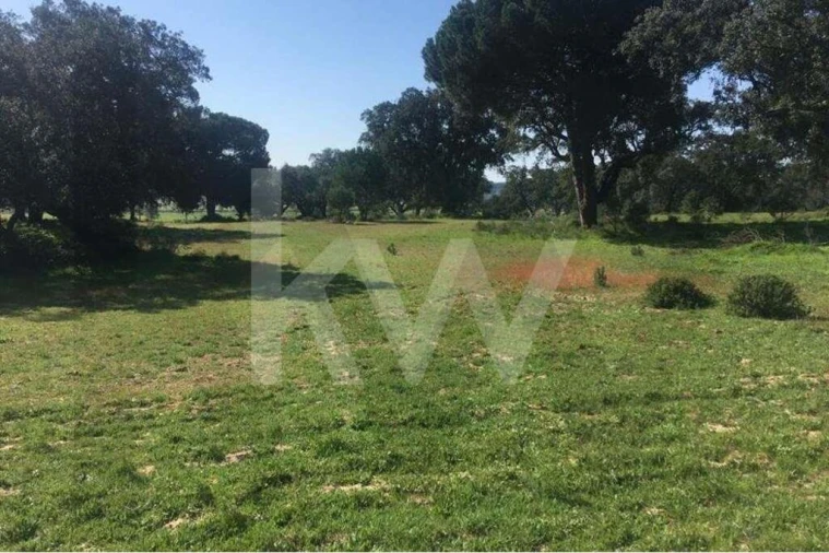 Terreno para Venda em Poceirão e Marateca Foto 2