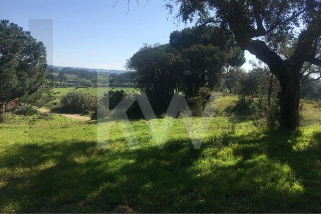 Terreno para Venda em Poceirão e Marateca Foto 4