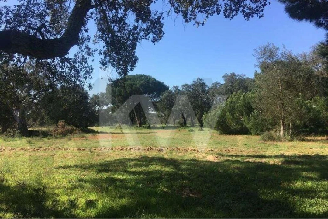 Terreno para Venda em Poceirão e Marateca Foto 1