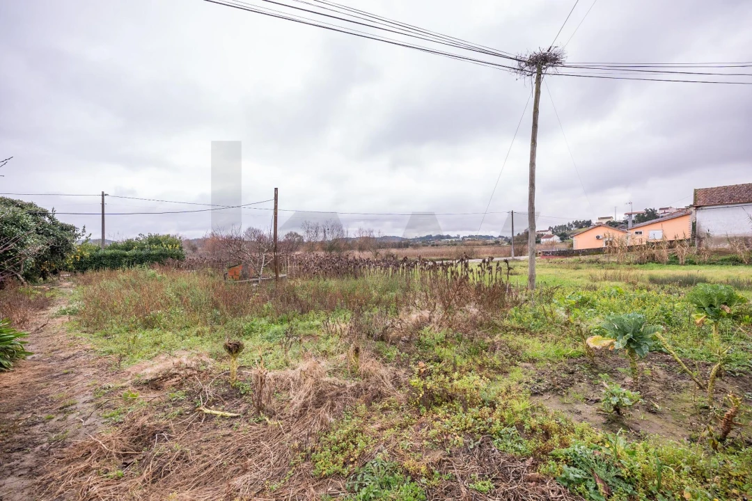 Moradia T3 para Venda em Gesteira e Brunhós Foto 16