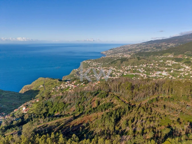 Terreno para Venda em Quinta Grande Foto 6