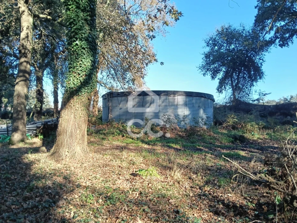 Terreno para Venda em São Lourenço do Bairro Foto 3
