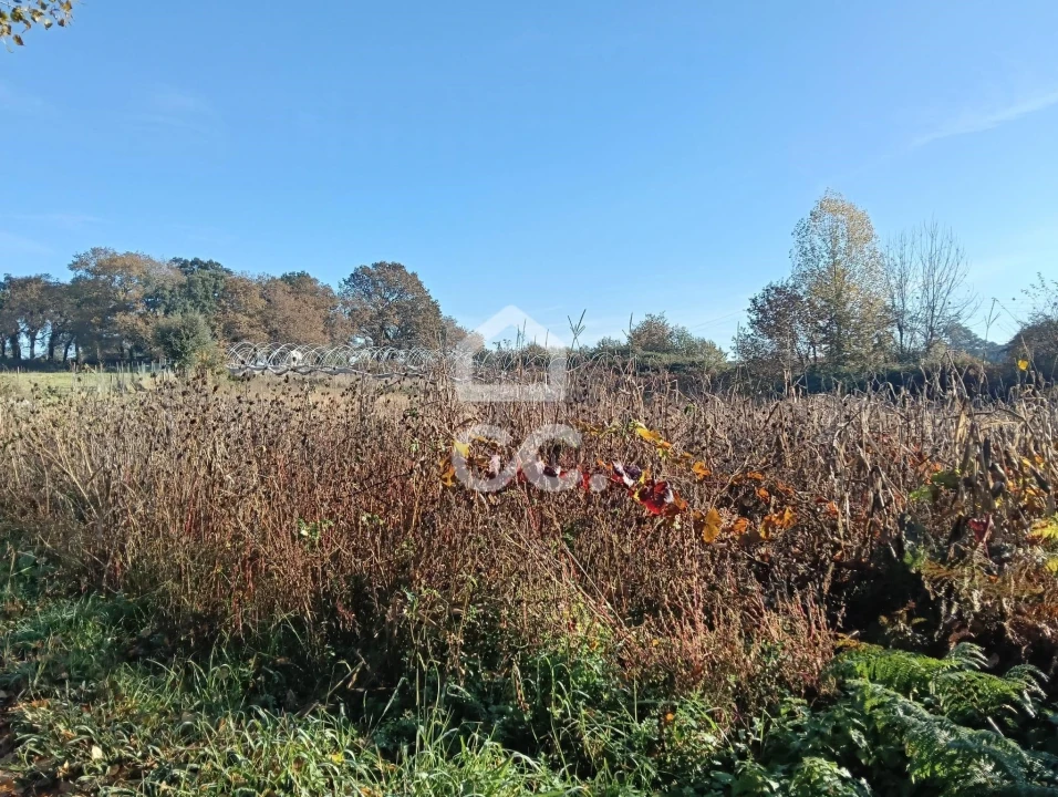 Terreno para Venda em São Lourenço do Bairro Foto 11