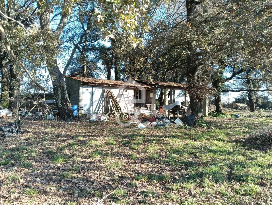 Terreno para Venda em São Lourenço do Bairro Foto 2