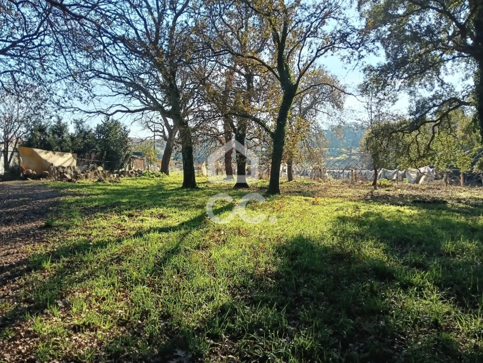 Terreno para Venda em São Lourenço do Bairro Foto 4