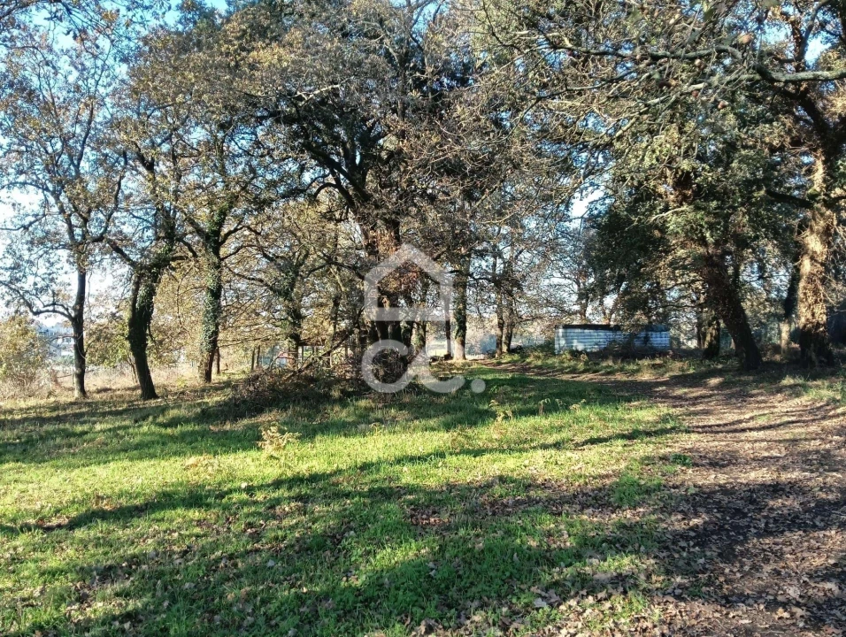 Terreno para Venda em São Lourenço do Bairro Foto 15