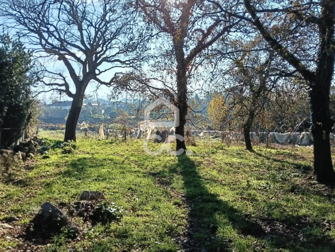 Terreno para Venda em São Lourenço do Bairro Foto 14
