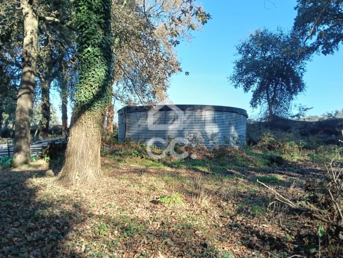 Terreno para Venda em São Lourenço do Bairro Foto 3