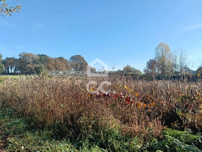 Terreno para Venda em São Lourenço do Bairro Foto 7