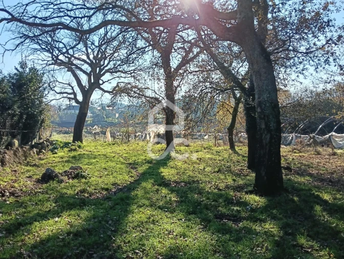 Terreno para Venda em São Lourenço do Bairro Foto 16