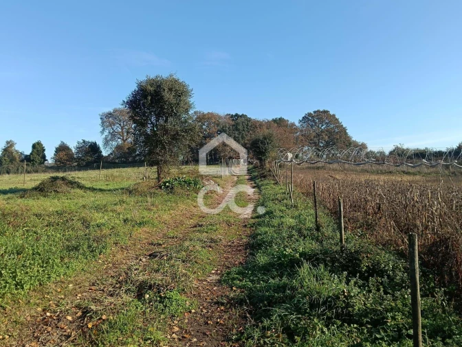 Terreno para Venda em São Lourenço do Bairro Foto 10
