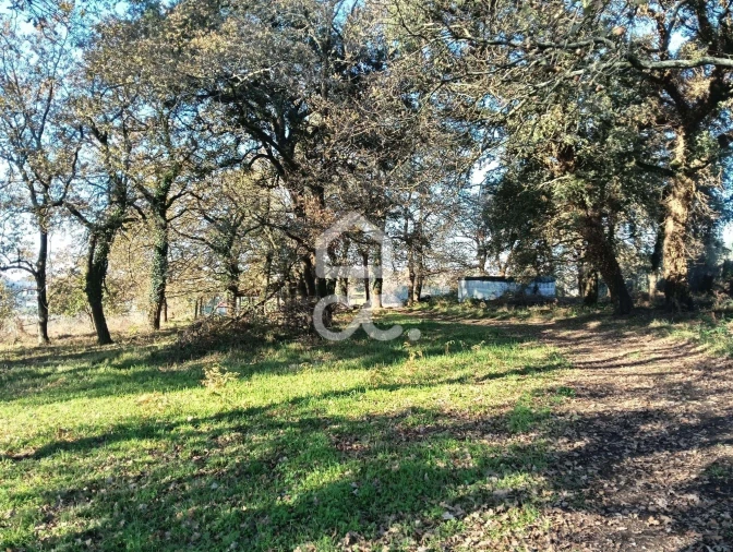 Terreno para Venda em São Lourenço do Bairro Foto 5