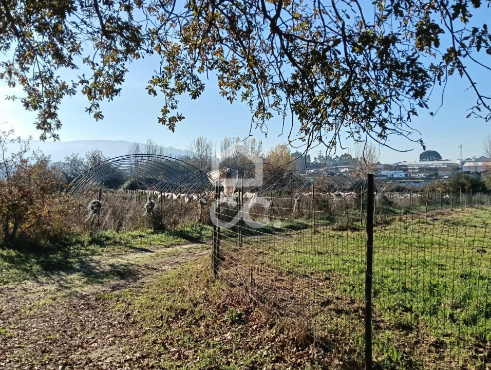 Terreno para Venda em São Lourenço do Bairro Foto 8