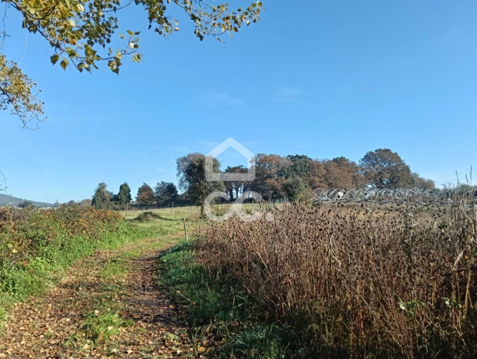 Terreno para Venda em São Lourenço do Bairro Foto 13