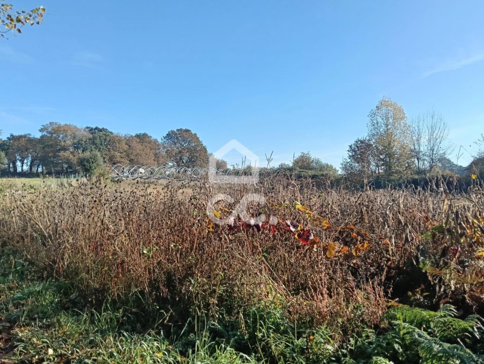 Terreno para Venda em São Lourenço do Bairro Foto 9