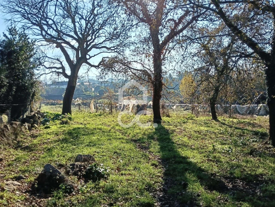 Terreno para Venda em São Lourenço do Bairro Foto 12