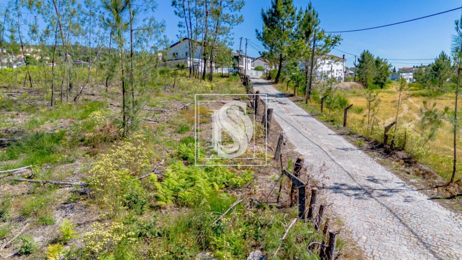Terreno para Venda em Fregim Foto 6