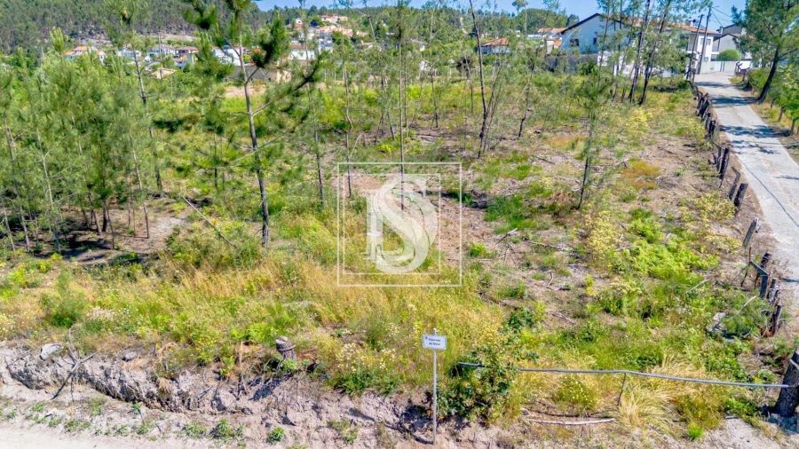 Terreno para Venda em Fregim Foto 10
