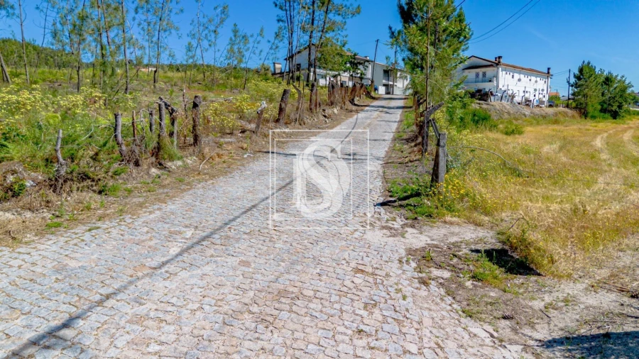 Terreno para Venda em Fregim Foto 7