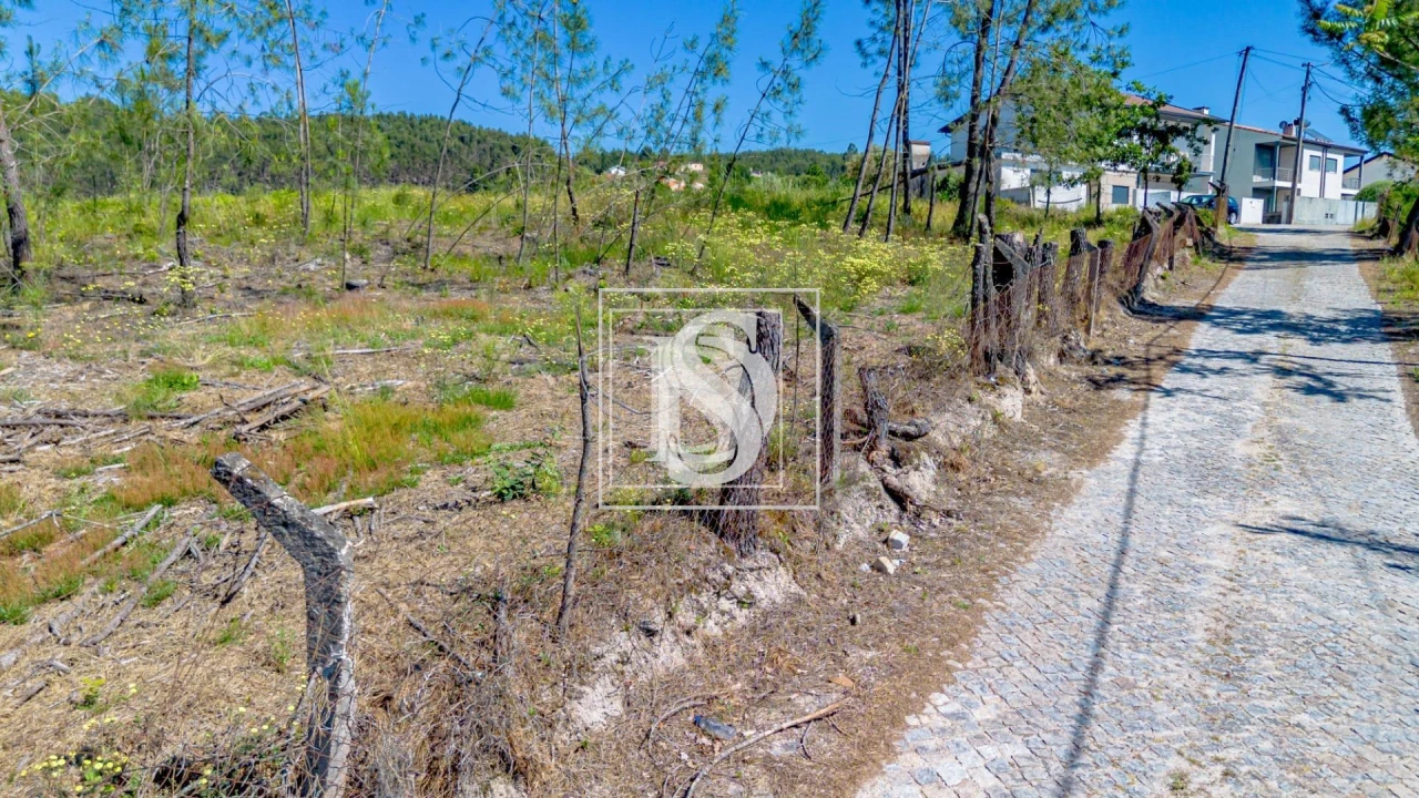 Terreno para Venda em Fregim Foto 8