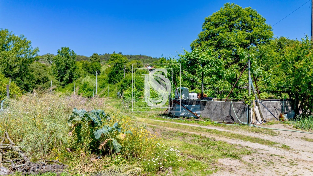 Terreno para Venda em Fregim Foto 4