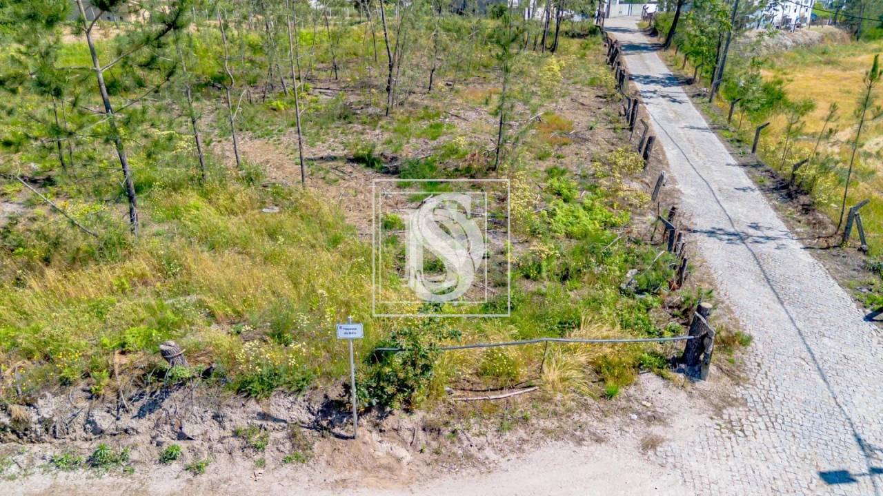 Terreno para Venda em Fregim Foto 15