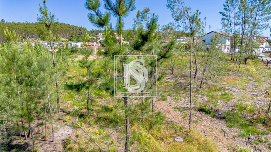 Terreno para Venda em Fregim Foto 13