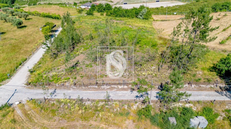 Terreno para Venda em Fregim Foto 6