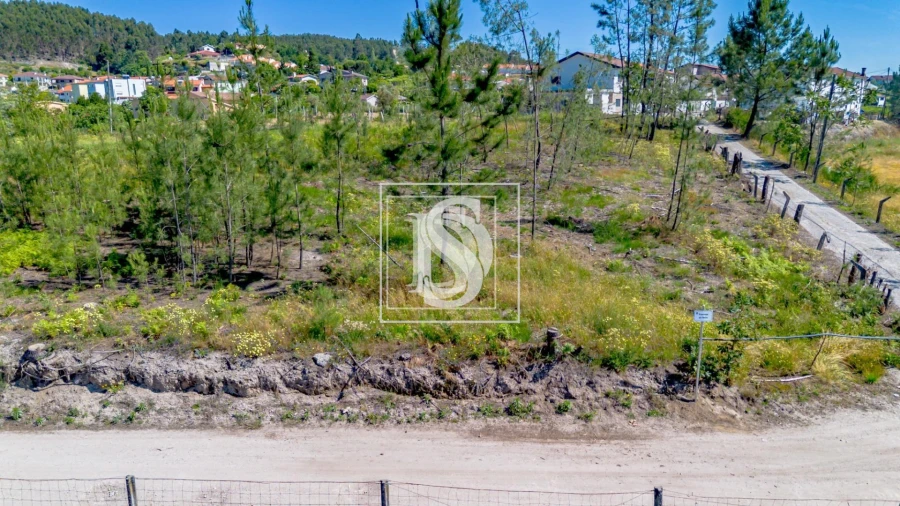 Terreno para Venda em Fregim Foto 11