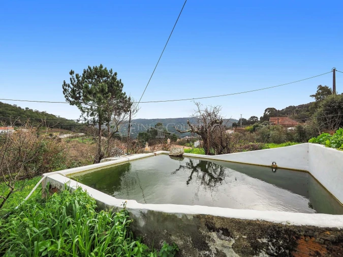 Moradia T4 para Venda em Monchique Foto 29