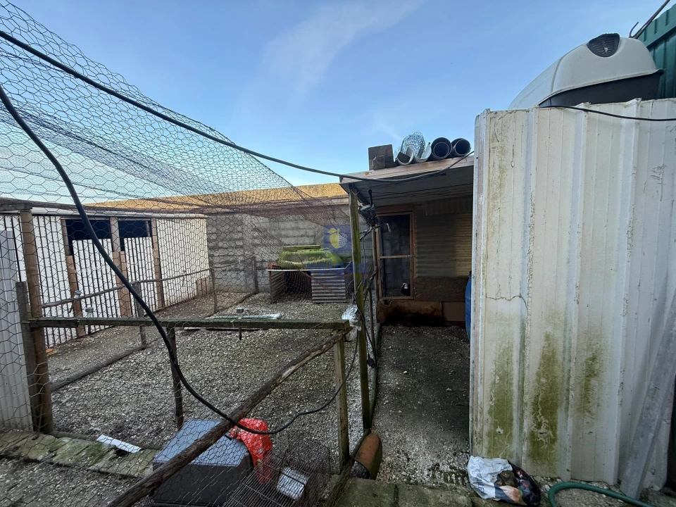 Moradia T1 para Venda em Santa Maria, São Pedro e Sobral da Lagoa Foto 10