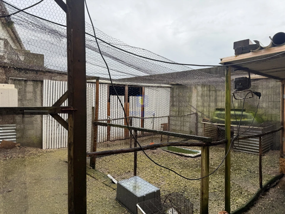 Moradia T1 para Venda em Santa Maria, São Pedro e Sobral da Lagoa Foto 14